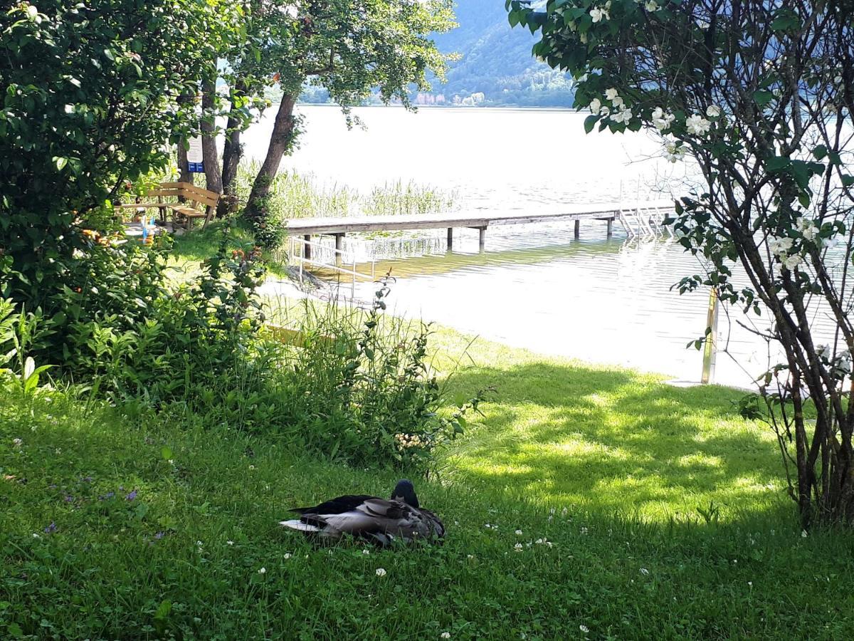 Anna Seeblick Appartement, Haus Haensel&Gretel Am Ossiachersee Mit Direktem Seezugang, Hallenbad Bodensdorf Eksteriør billede